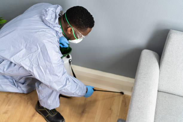 Best Pest Control for Hotels  in Beesleys Point, NJ